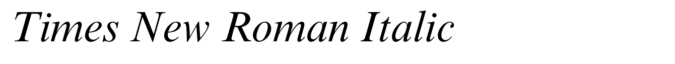 Times New Roman Italic image